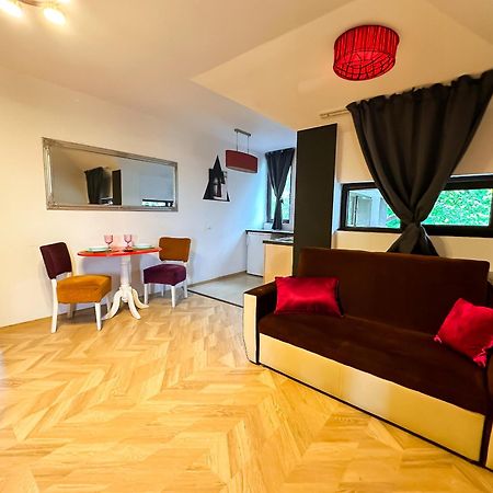 The Vintage - Wonderful Apartment In Best Location Craiova Kültér fotó