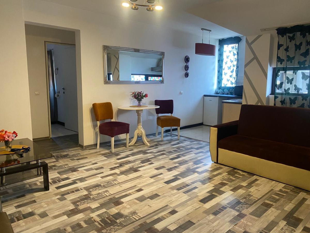 The Vintage - Wonderful Apartment In Best Location Craiova Kültér fotó