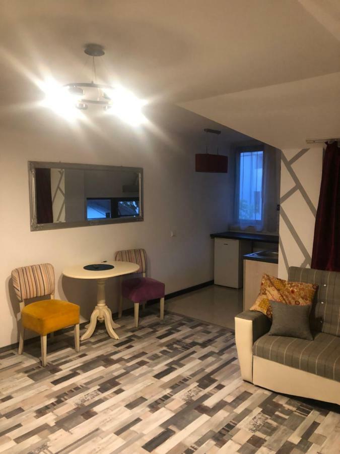 The Vintage - Wonderful Apartment In Best Location Craiova Kültér fotó